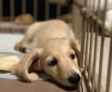 日常のモヤッとした気持ち、何でも聞きます イメージ1
