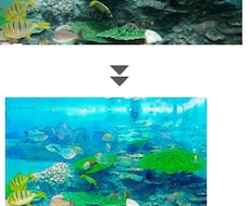 あなたの写真をイラスト加工します イメージ1