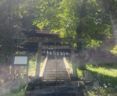愚痴、話し相手、相談、アドバイスなんでも承ります イメージ1