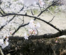抱えている不安や悩みに寄り添います イメージ1
