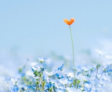 あなたの潜在能力と将来性(可能性)を鑑定します イメージ1