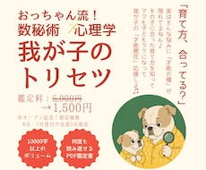 数秘術×心理学×子育て！我が子のトリセツ作ります イメージ1