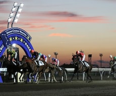 北海道競馬！南関東競馬！やります