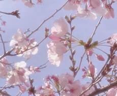 ただ聞いてほしい方へ】心のモヤモヤ受け止めます イメージ1