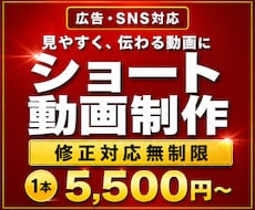動画編集歴9年目のプロがショート動画制作します イメージ1