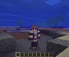 マインクラフトのオリジナルスキン製作します あなただけのスキンでマイクラワールドを楽しみませんか！！