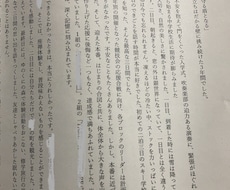 印象に残るスピーチを提供します 学生⇒選挙や行事･課題原稿    社会人⇒結婚式や手紙の原稿