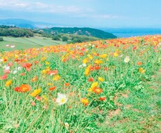 実体験をもとに恋愛相談アドバイスします イメージ1