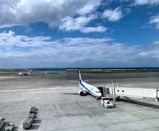 どの航空会社のマイルを貯めるべきか、ご紹介します イメージ1