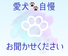 かわいい愛犬のお話をチャットで聞きます うちの子自慢して下さい。1時間500円～♪