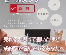 セールスコピー、売れない理由をプロが突き止めます ライター歴12年のベテランが売れない商品を、売れる言葉に！