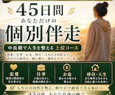 上級編：45日間｜人生の選択へ個別繋ぐ伴走をします 恋愛・仕事・収益化・移住などあなた専用の実践設計を一緒に整る