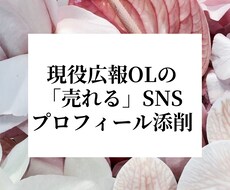 広報OLが「売れる」SNSプロフィールに添削します SNS総フォロワー数15000人のアカウント運用実績あり！