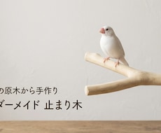 鳥の止まり木作ります イメージ1