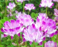 幸せの見つけかた・幸せの感じかたをシェアします イメージ1