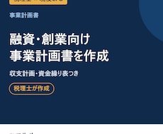 融資・創業向けの事業計画書を税理士が作成します イメージ1