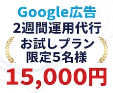 Google広告・リスティング2週間運用代行します 【特別価格】元Google公式コンサルが初期設定から運用