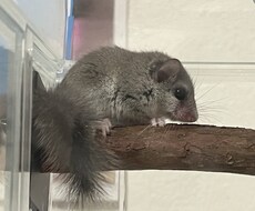 1人は嫌だって方まってます イメージ1