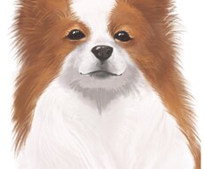 モデルさん募集してます イメージ1