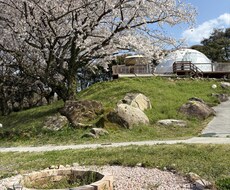 実績作りのため、現在はこの価格で対応しています