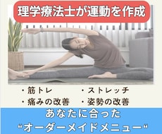 理学療法士(国家資格)がストレッチ筋トレ作成します 柔軟性、筋力、肩こり・腰痛など痛み・疲労改善メニュー作成