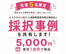 小規模事業者持続化補助金の採択事例を共有します 【エステサロン向け】5名様限定！ココナラ出品記念価格！