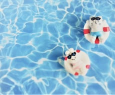 水泳歴33年、楽に泳ぐポイント教えます インストラクター歴18年です。今年の夏は水泳にチャレンジ！