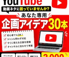 あなた専用のYouTube企画を30本考えます イメージ1