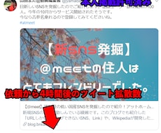 ご希望のツイートを爆拡散します 業績作りのため、格安でご提供。1度の購入で2ツイートまで！