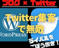 Twitter集客で無敵アフィリエイト教えます 才能、スキル、経験一切不要！初心者のための完全攻略マニュアル