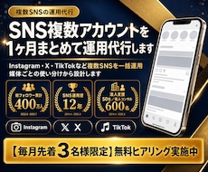 SNS複数アカウントを1ヶ月まとめて運用代行します イメージ1