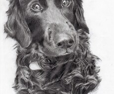 ペット・動物の【鉛筆画】を作成します イメージ1