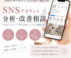 SNS運用のお悩みを分析し改善案をご提案します 投稿内容・伸び悩み・方向性を一緒に整理します