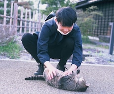 酔っ払ってるテキトーなやつが話を聞きます イメージ1