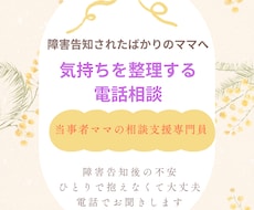 障害告知後の不安、当事者ママの子育て相談聞きます イメージ1
