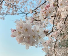 ちょっと誰かと話したいを叶えます イメージ1