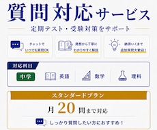 中学生の質問にチャットでお答えします 【スタンダードプラン】中学生の質問対応