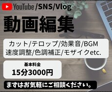 YouTubeやSNS等の動画を編集します イメージ1