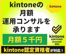 kintoneの月額運用コンサルを承ります 運用・改善・技術相談を継続的にサポートします