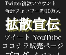 Twitter/拡散/宣伝/集客/致します 拡散宣伝集客ならお任せ！Twitterで10万人にお届け！