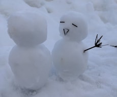 ひとりで寂しいなーって時の話し相手になります イメージ1