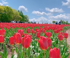 元教師が学校や子どものお話聞きます イメージ1