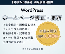 WordPressのHPを修正更新・カスタムします イメージ1