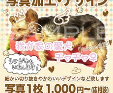 ポストカード、暑中見舞いハガキお作りします ご家族の写真やコスプレのポストカード等に
