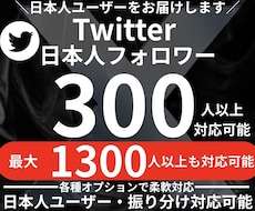 Twitter 日本人フォロワー300人増加します イメージ1