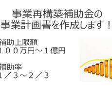 事業再構築補助金の事業計画書を作成代行します