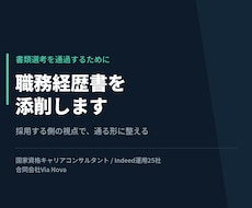 キャリアコンサルタントが職務経歴書を添削します イメージ1