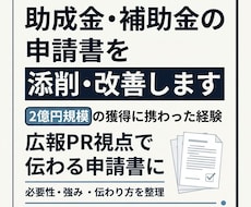 助成金・補助金の申請書を添削・改善します イメージ1