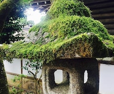 京都旅行をサポート致します 京都旅行をお考えの方、または最中の方へ