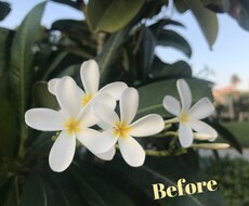 あなたのインスタが鮮やかに！本当の映え加工します イメージ1